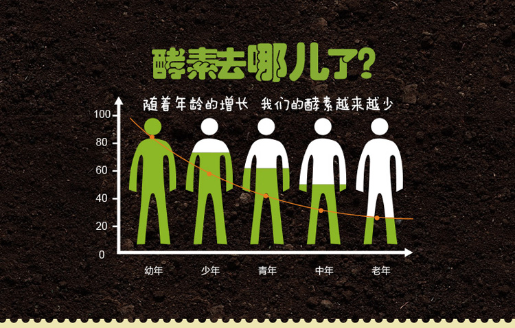 维您综合蔬果酵素粉(固体饮料)